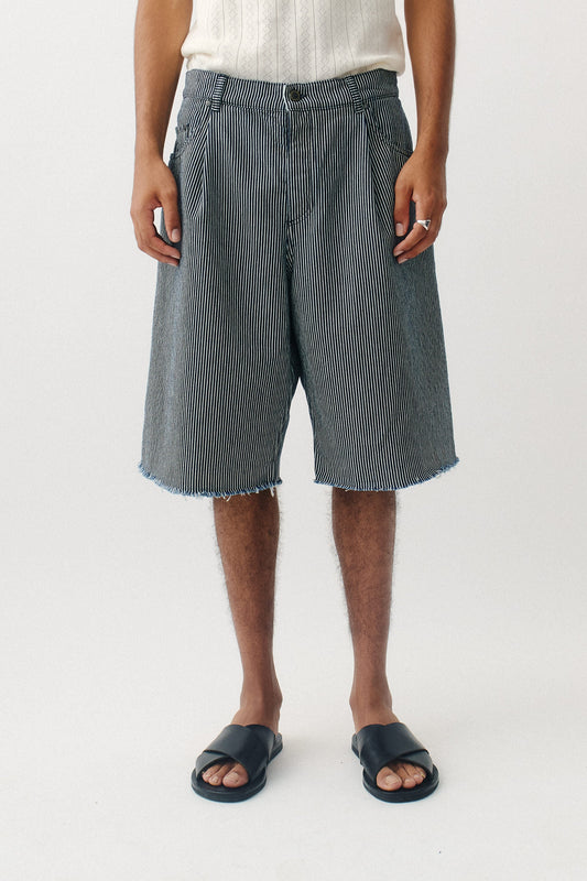 Duma Pleated Shorts Striped Denim