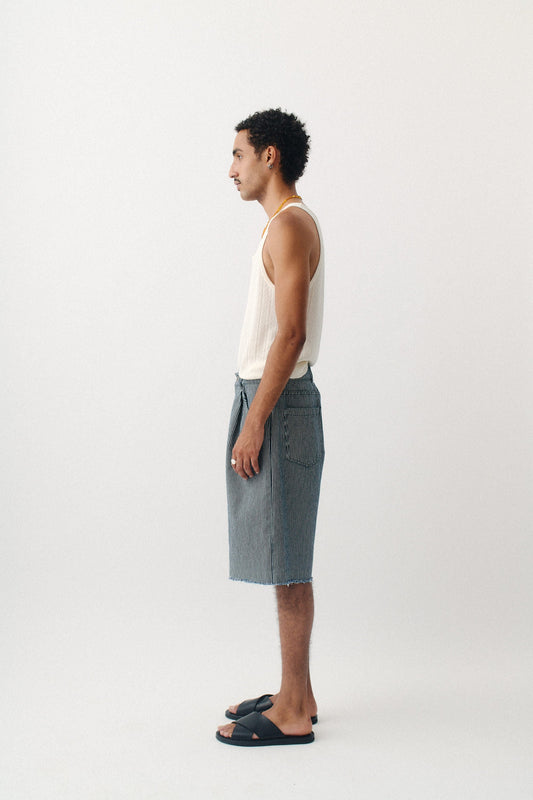 Duma Pleated Shorts Striped Denim