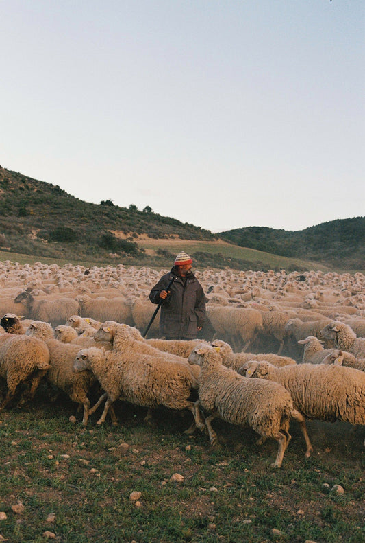 AW26 SOMBRA DE LA SIERRA