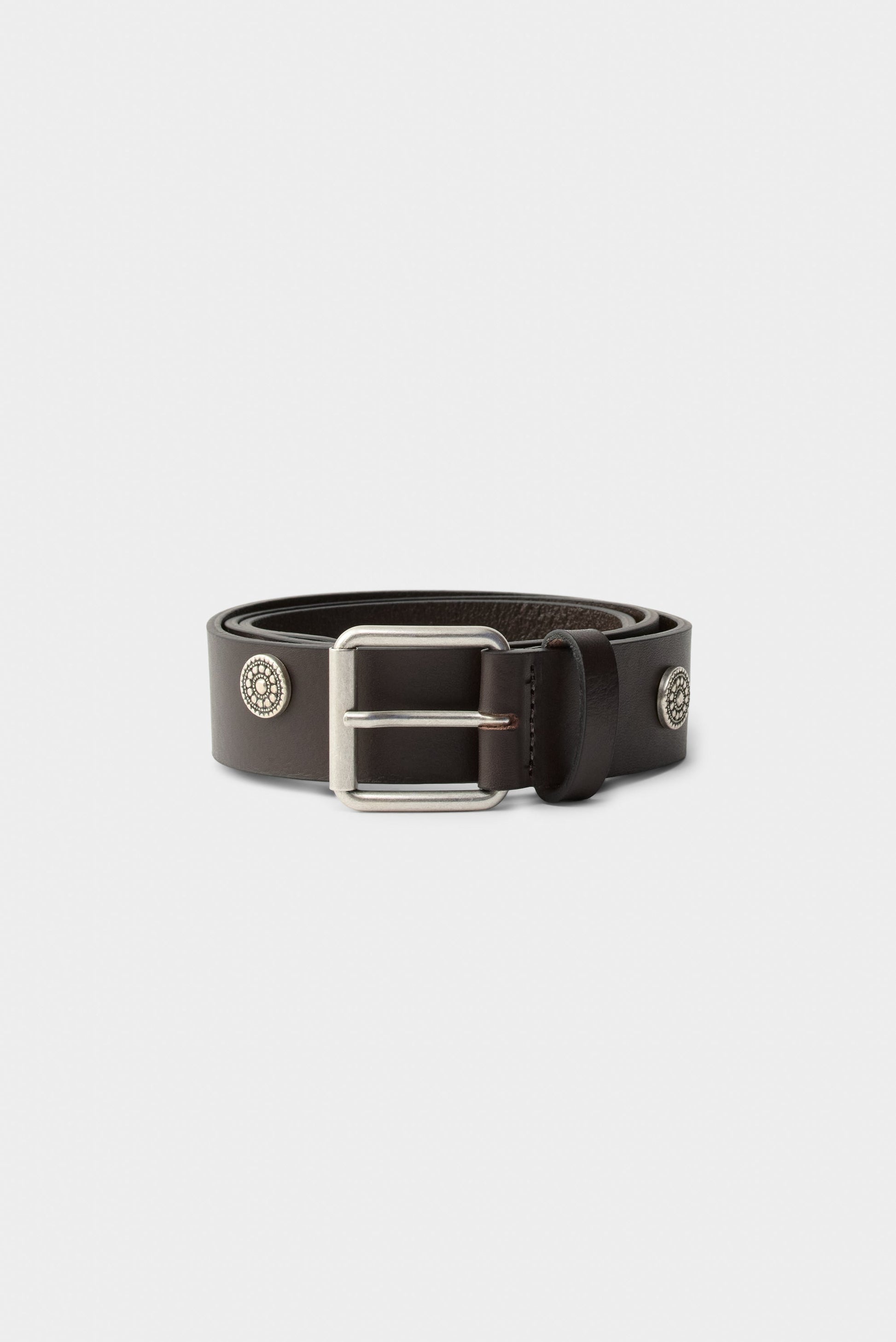 Pilgrim Belt Tabasco Brown