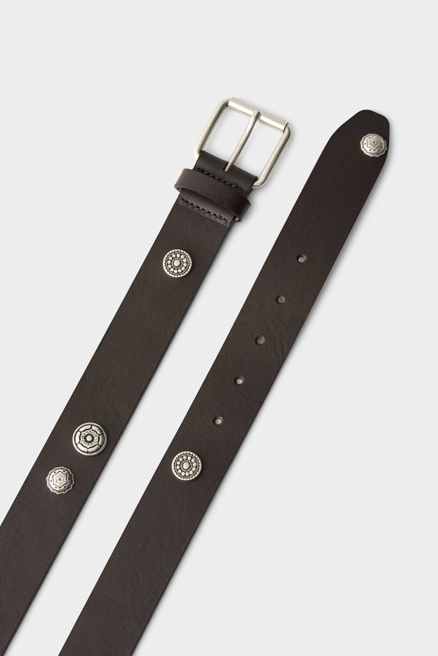Pilgrim Belt Tabasco Brown