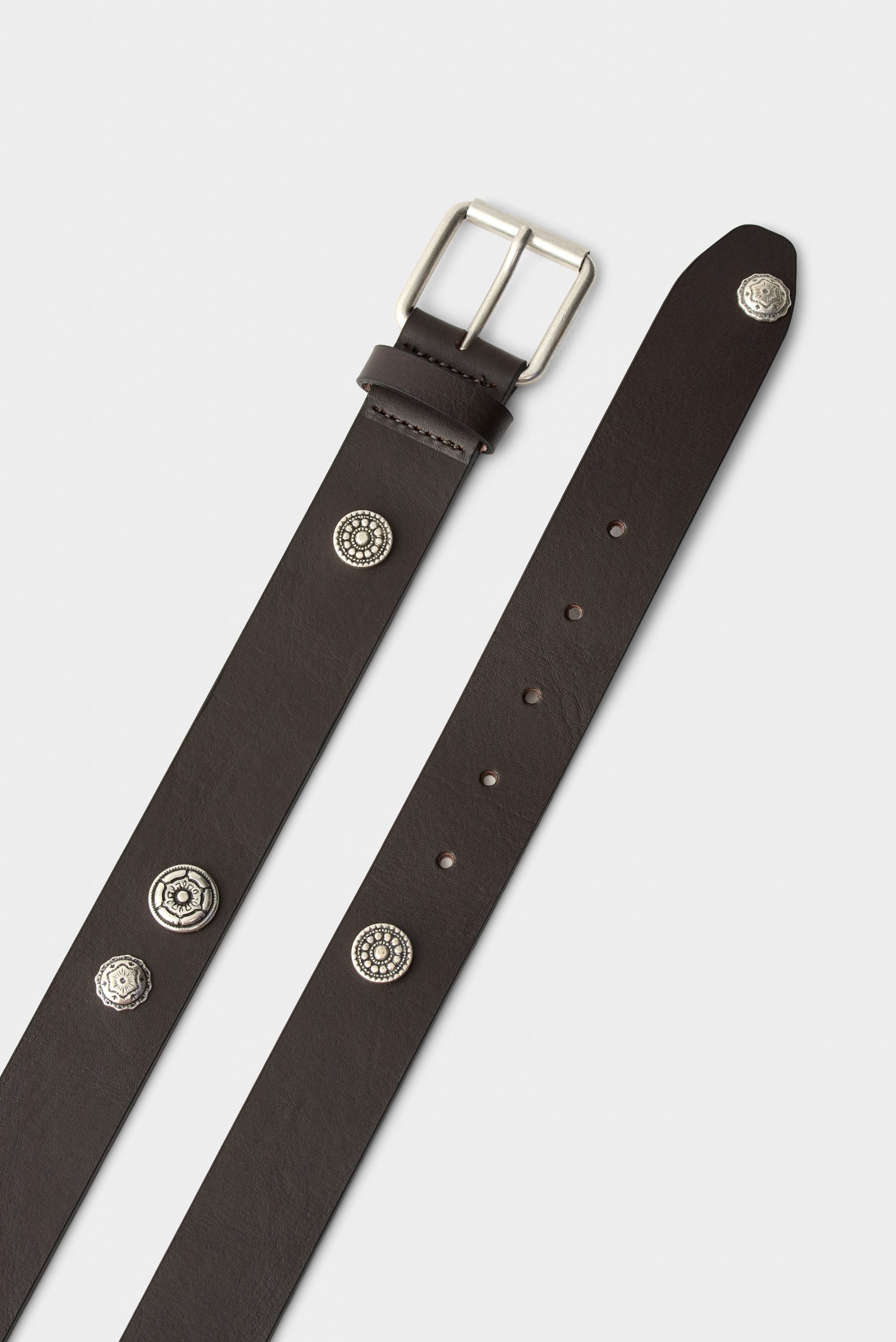 Pilgrim Belt Tabasco Brown
