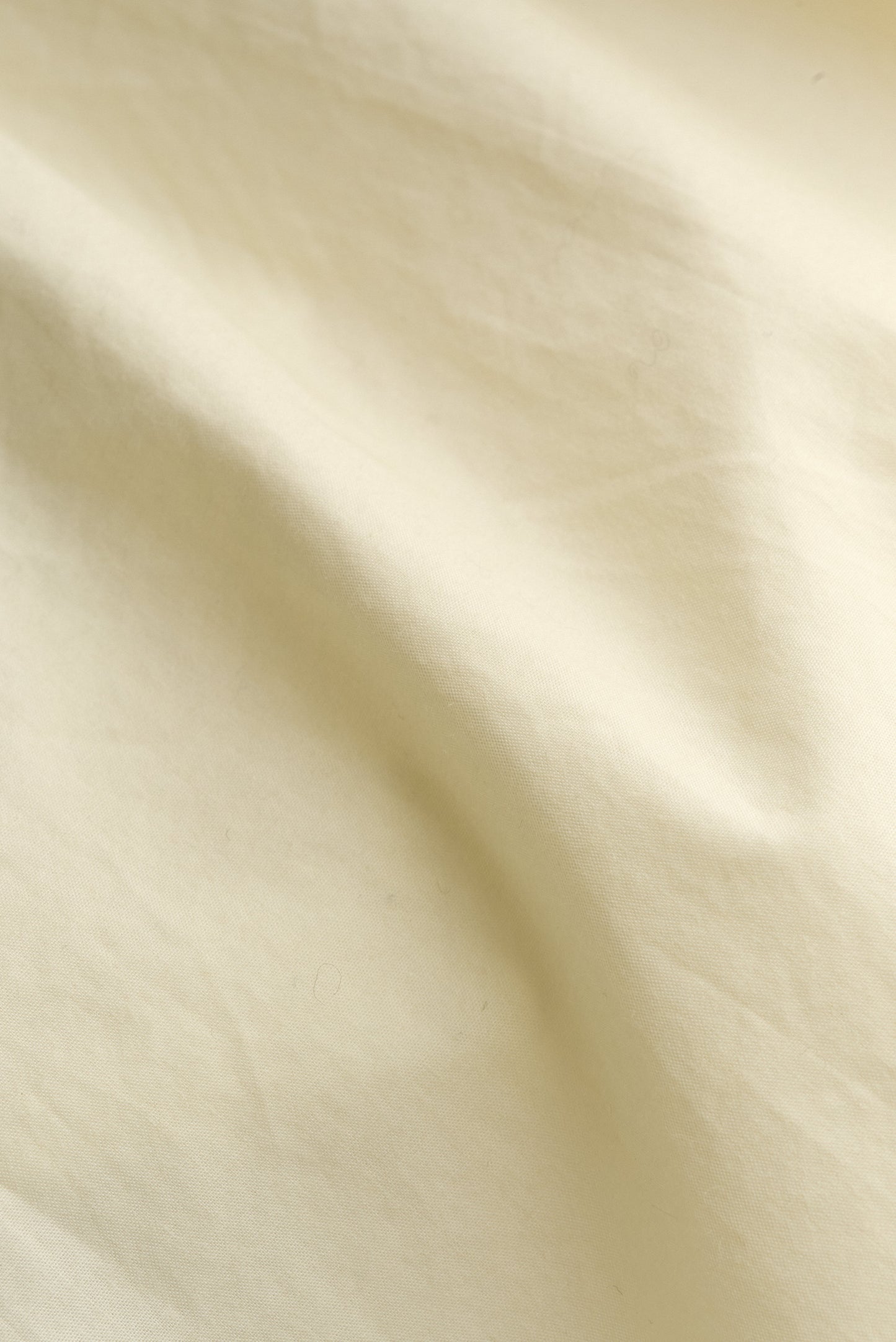 BANITA BUTTON DOWN SHIRT