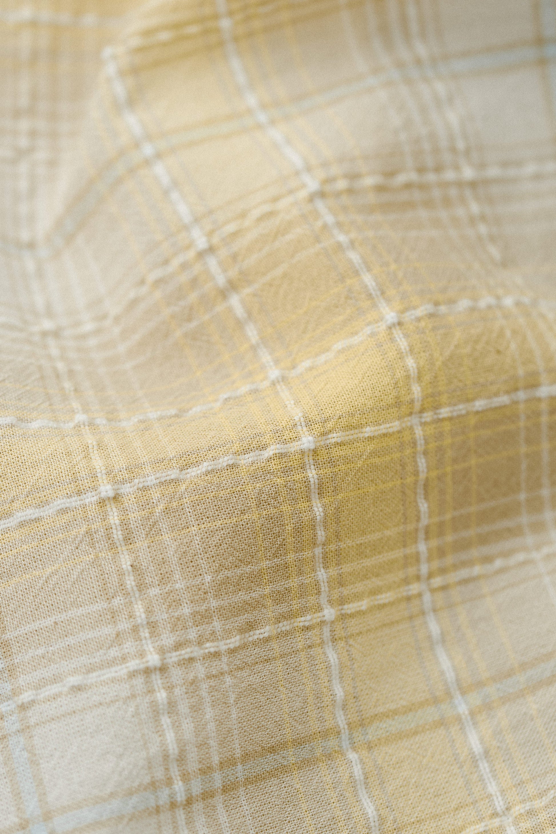 Banita Button Down Shirt Sunny Check