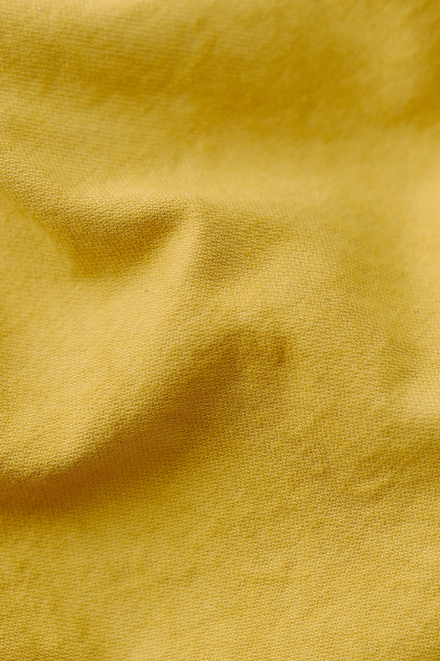 Volta Shorts Sunny Dry Mustard