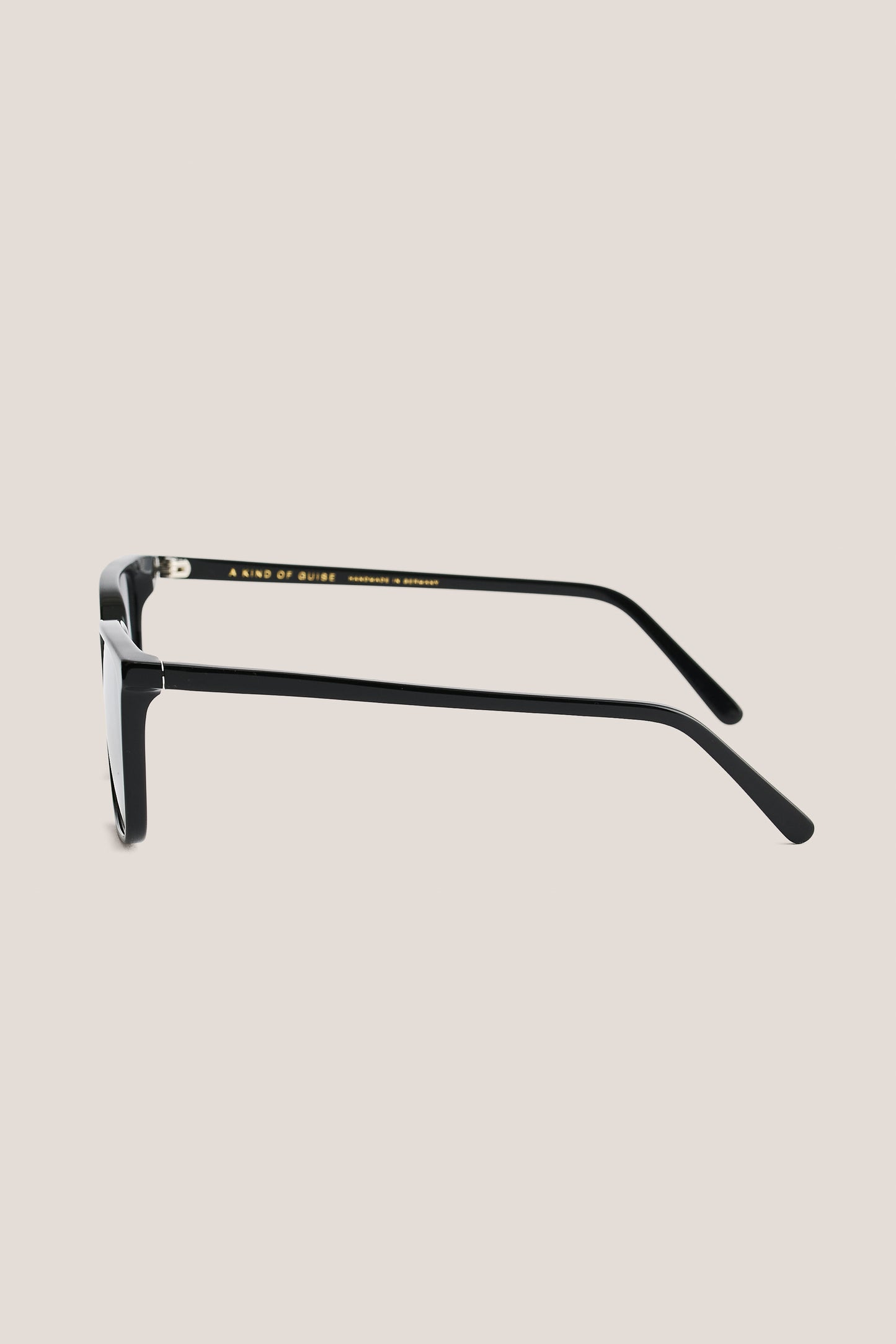 Unisex accessories sunglasses, black acetate frame, side view.