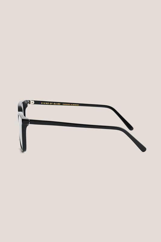 Unisex accessories sunglasses, black acetate frame, side view.