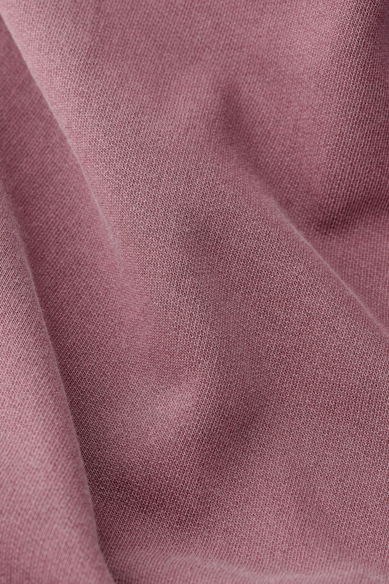 BIELSA ROLLNECK