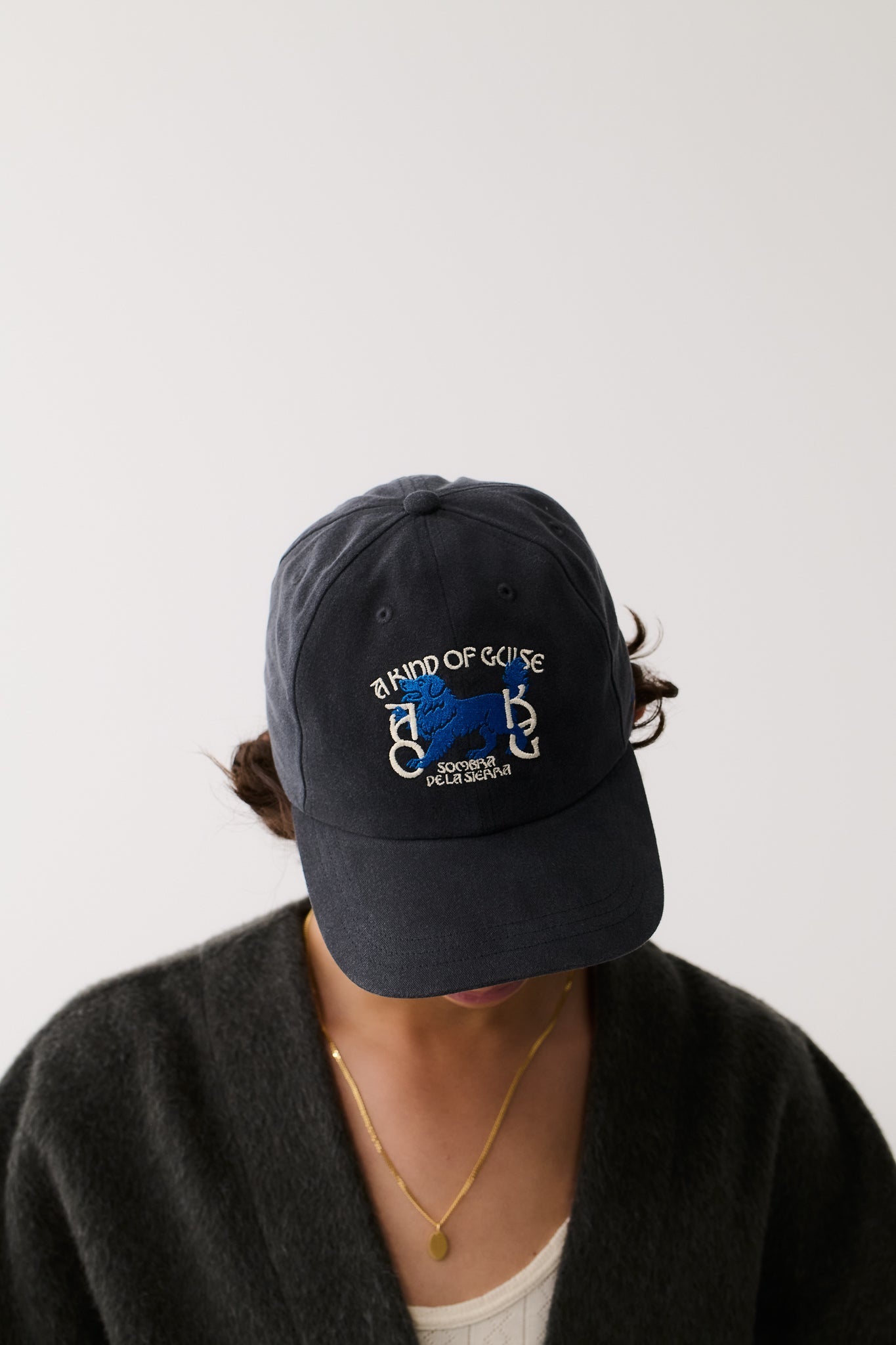 Sombra Souvenir Cap Night Navy
