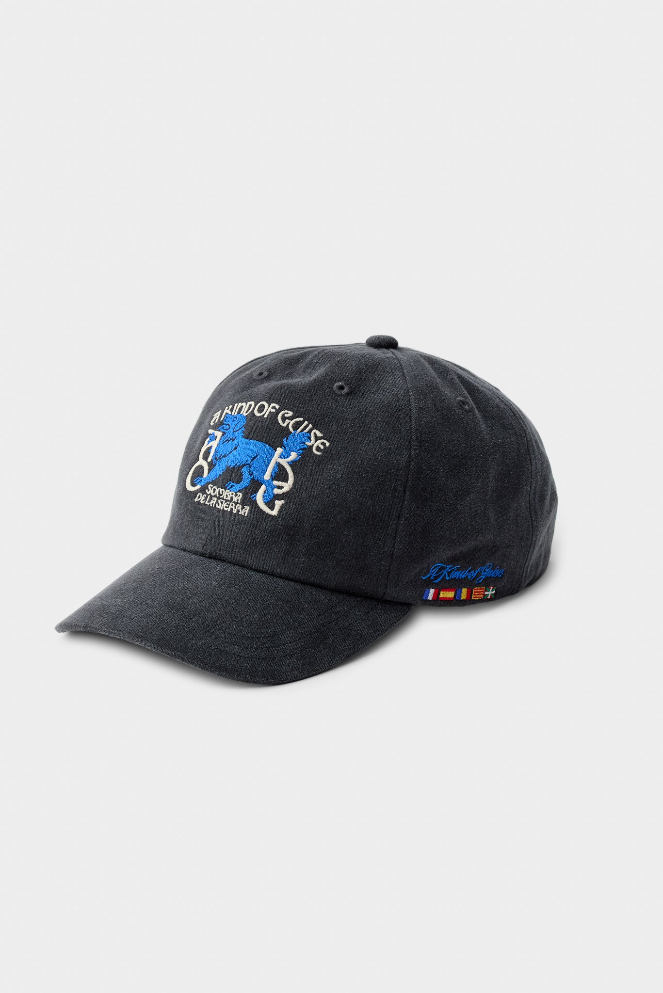 Sombra Souvenir Cap Night Navy