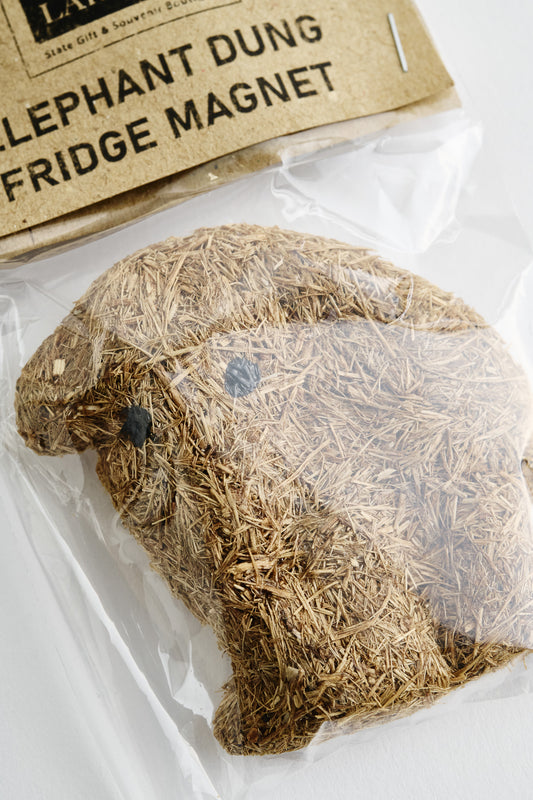 Elephant Dung Magnet
